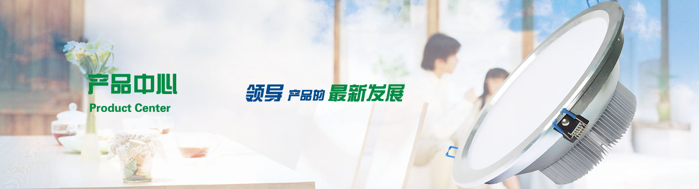 描述